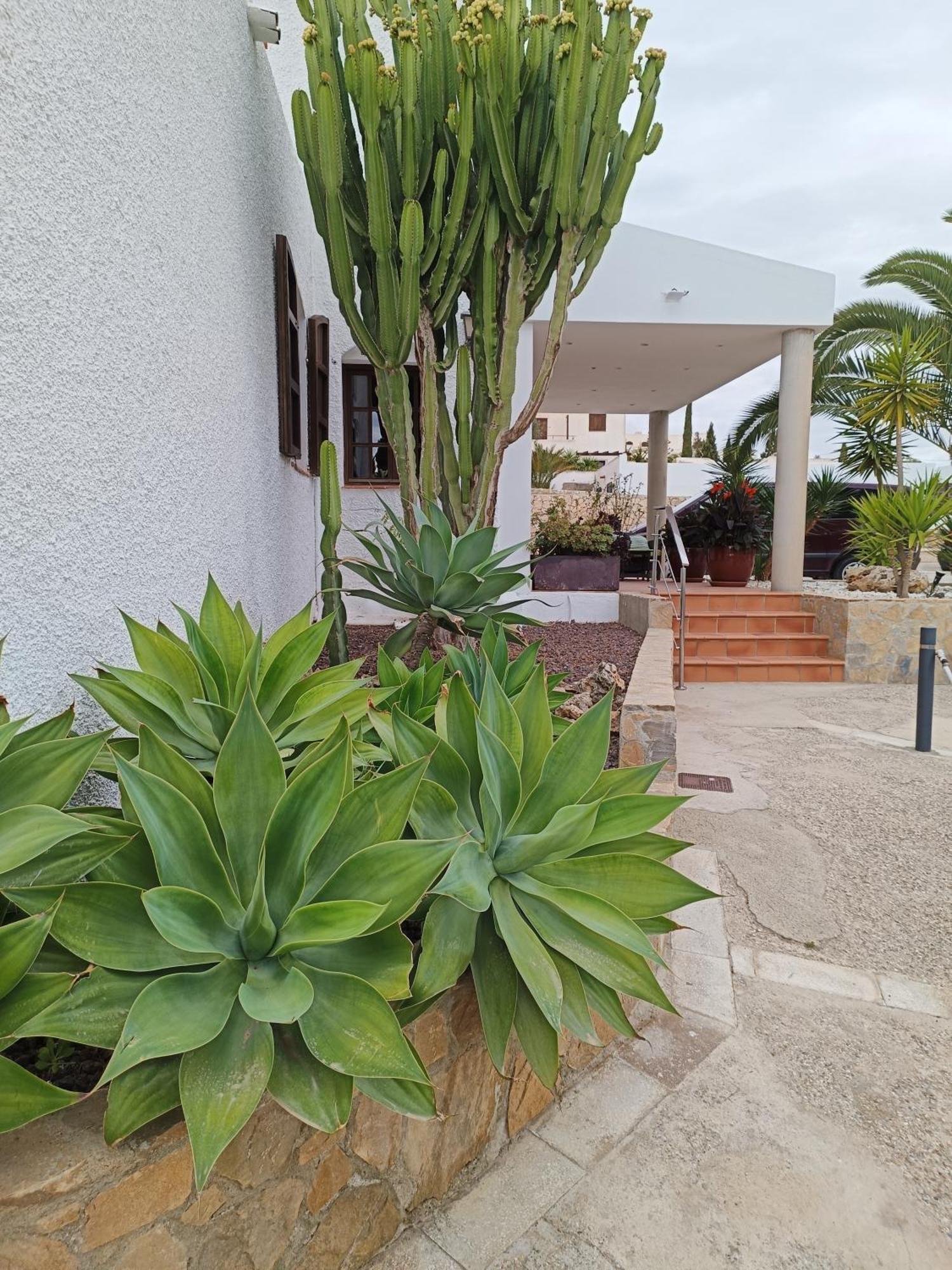 Hotel Family Agua Amarga à Agua Amarga  Extérieur photo